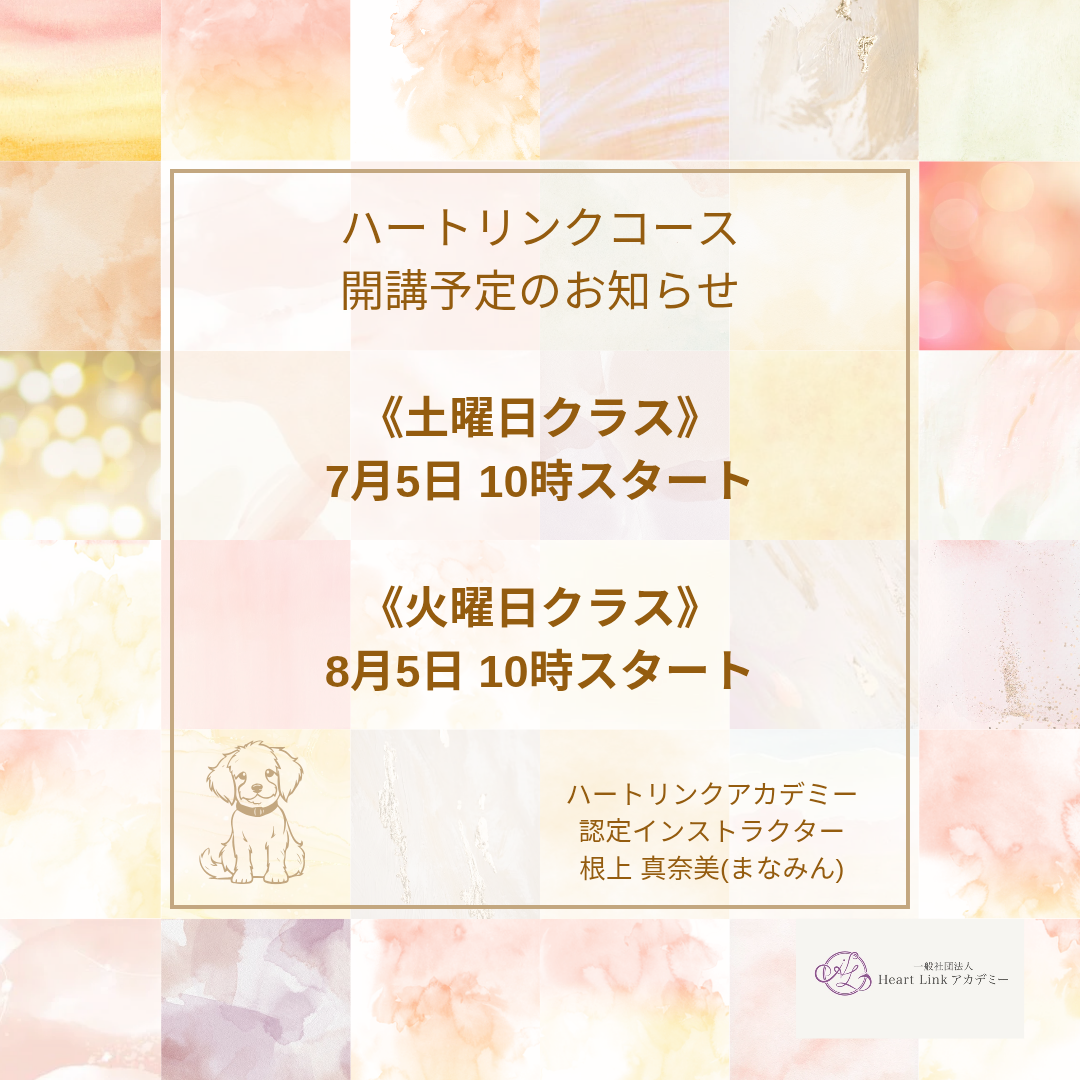 【受講生募集中:7,8月開催】Heart Linkコース(全7回)(認定インストラクター根上真奈美さん)