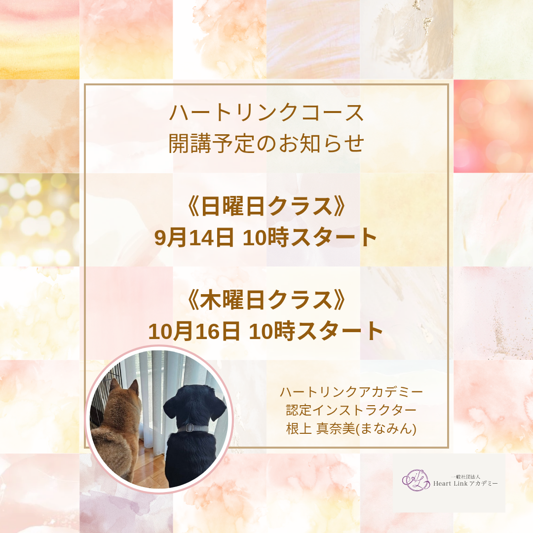 【受講生募集中:9,10月開催】Heart Linkコース(全7回)(認定インストラクター根上真奈美さん)