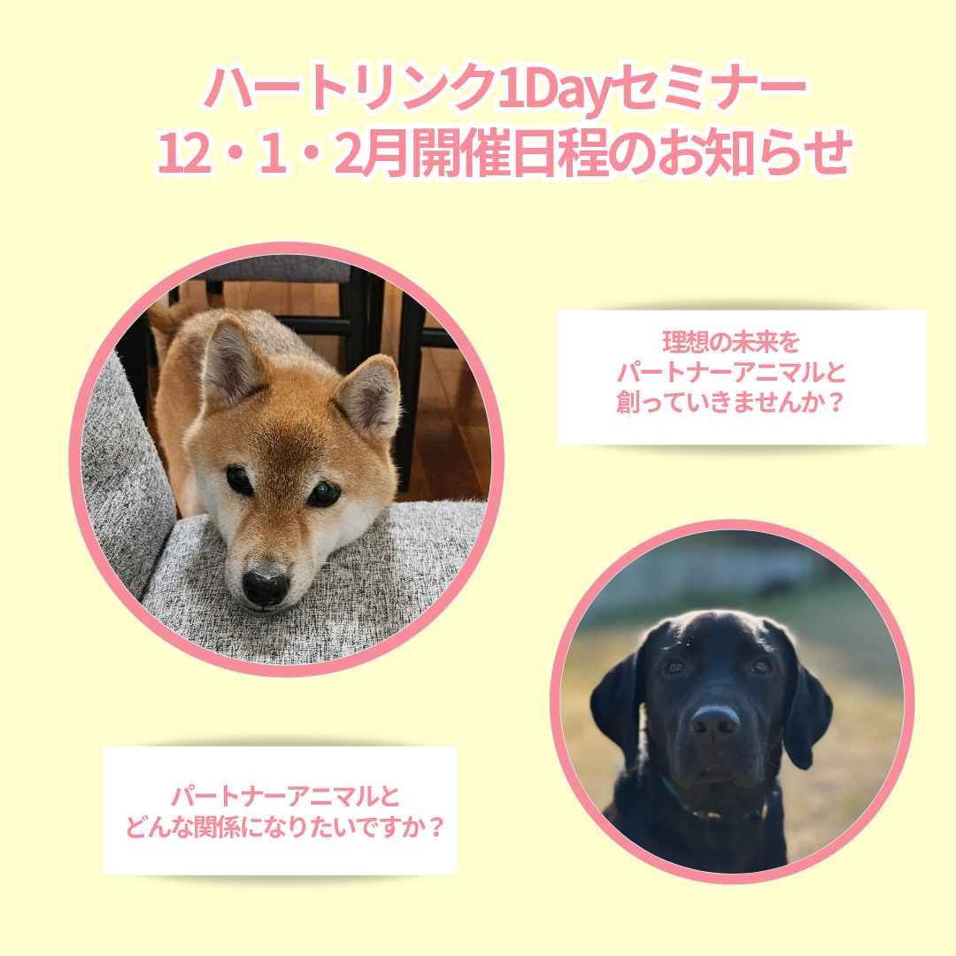 【12月～2月開催/受付中】ペットと理想の関係＆未来を作る3つの法則体感セミナー・オンライン開催(担当講師:根上真奈美さん)