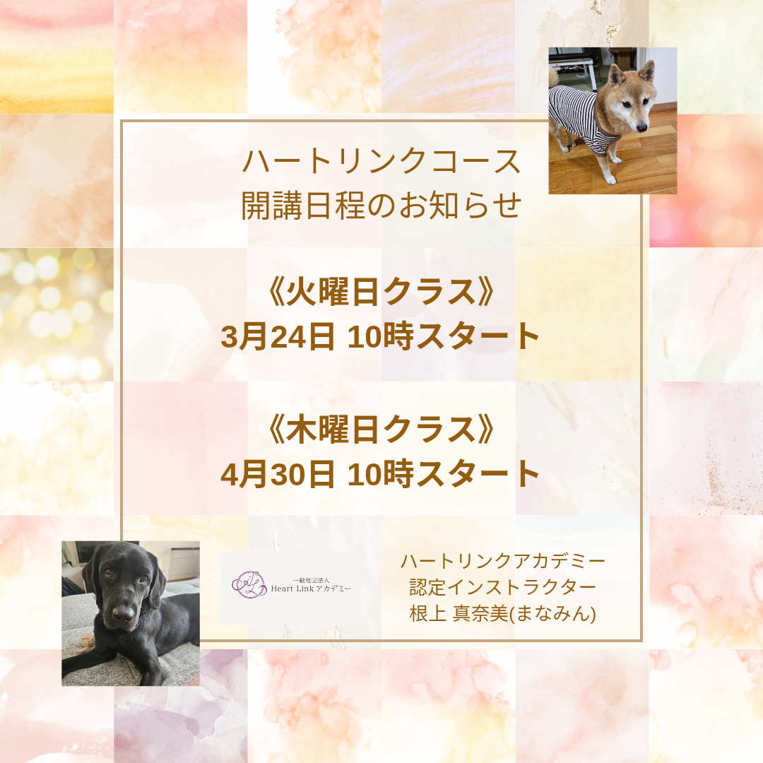 【受講生募集中:3,4月開催】Heart Linkコース(全7回)(認定インストラクター根上真奈美さん)
