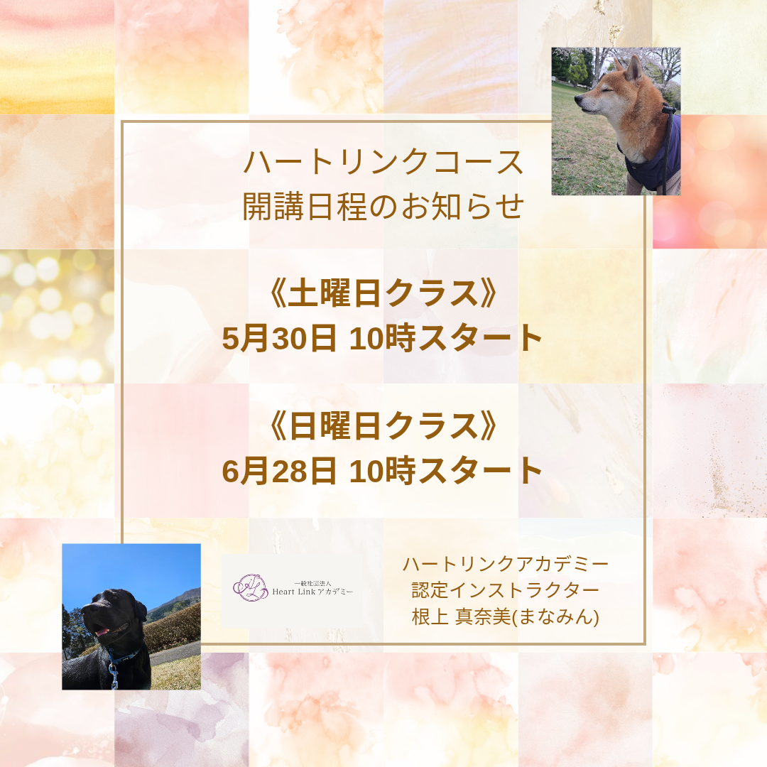 【受講生募集中:5,6月開催】Heart Linkコース(全7回)(認定インストラクター根上真奈美さん)