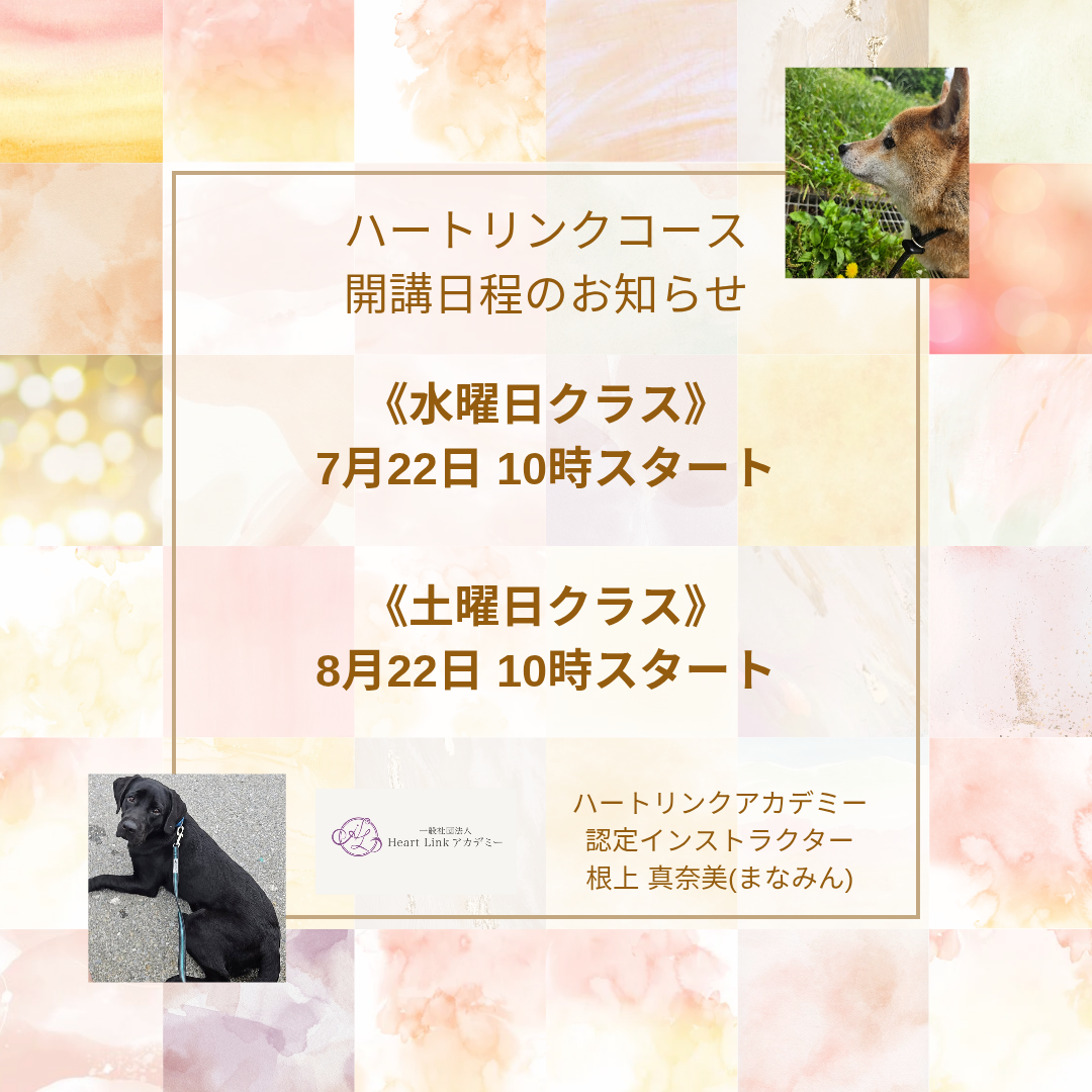 【受講生募集中:7,8月開催】Heart Linkコース(全7回)(認定インストラクター根上真奈美さん)