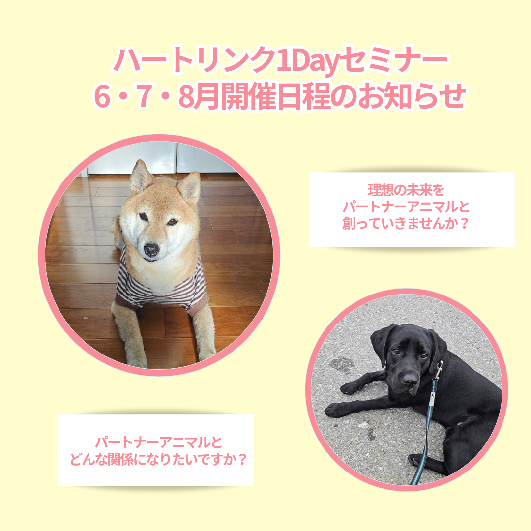 【7月~8月開催/受付中】ペットと理想の関係&未来を作る3つの法則体感セミナー・オンライン開催(担当講師:根上真奈美さん)